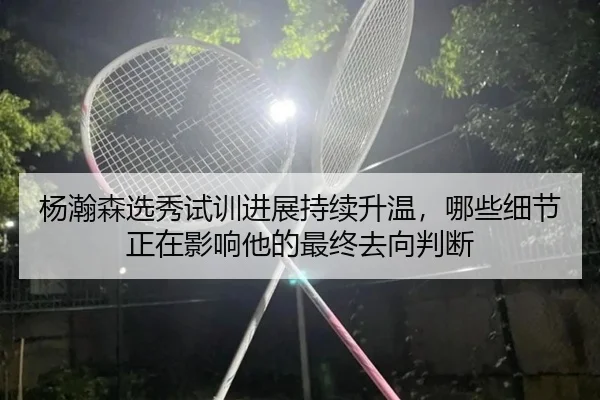 杨瀚森选秀试训进展持续升温，哪些细节正在影响他的最终去向判断